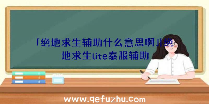 「绝地求生辅助什么意思啊」|绝地求生lite泰服辅助